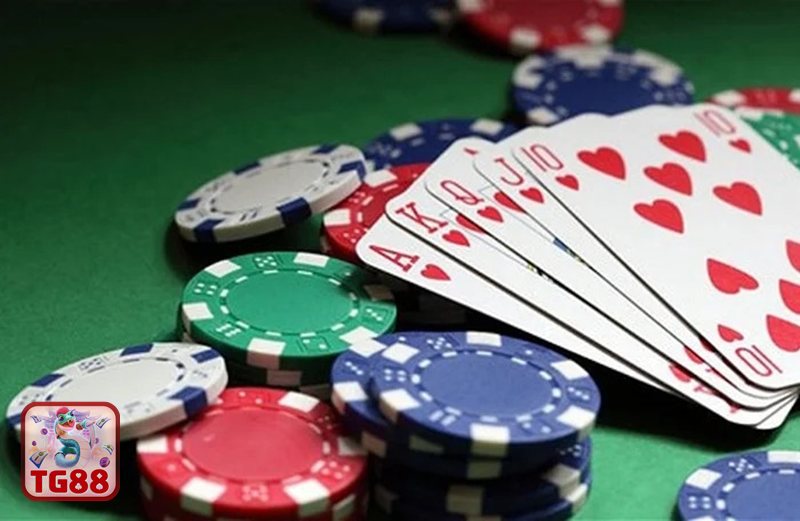 Giới Thiệu TG88 - Định hướng phát triển bền vững