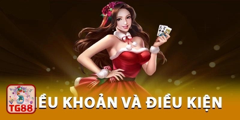 Điều Khoản Điều Kiện TG88 - Quy định tổng quan về dịch vụ